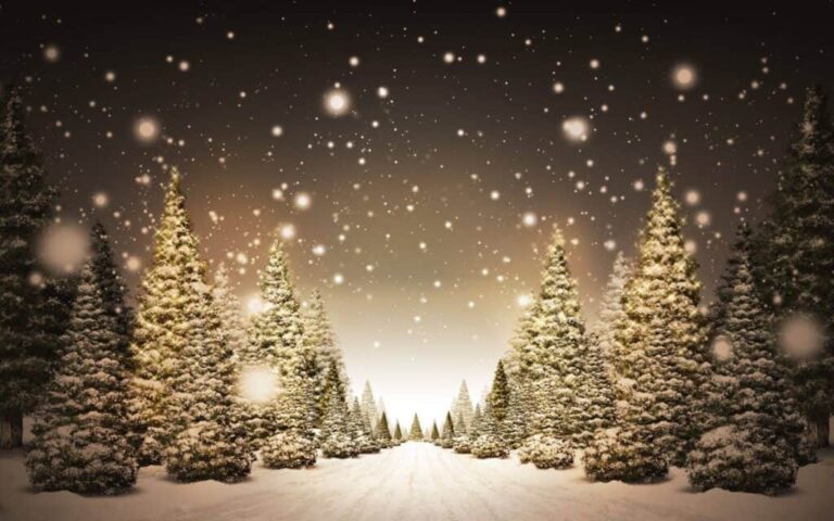 Merry Christmas and a Happy New Year!