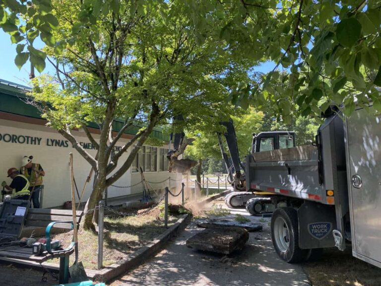 Drainage Restoration Project at Dorothy Lynas Elementary