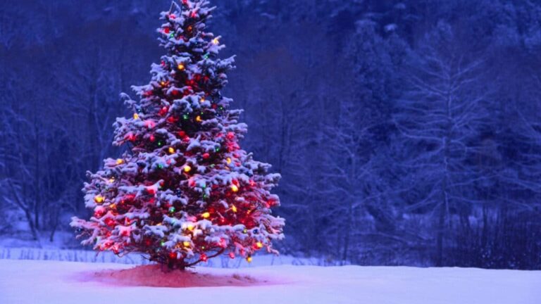 Happy Holidays from EXO